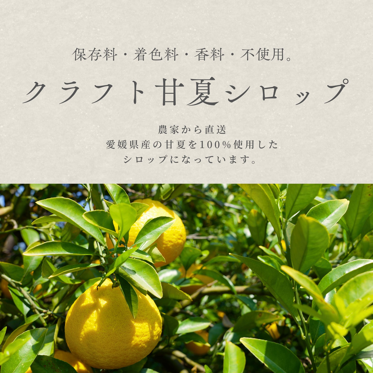 クラフト甘夏シロップ